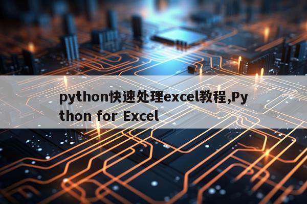 python快速处理excel教程,Python for Excel