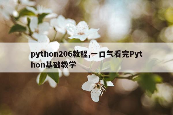python206教程,一口气看完Python基础教学