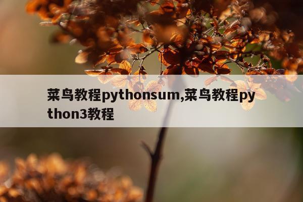 菜鸟教程pythonsum,菜鸟教程python3教程
