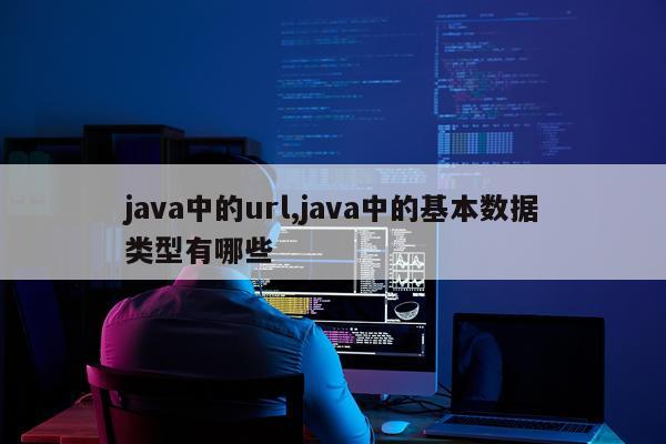 java中的url,java中的基本数据类型有哪些