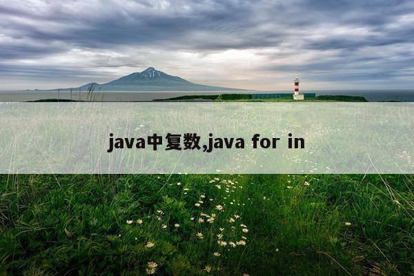 java中复数,java for in