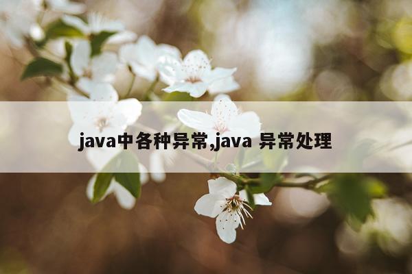java中各种异常,java 异常处理