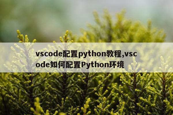 vscode配置python教程,vscode如何配置Python环境