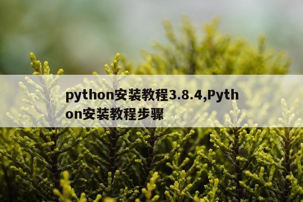 python安装教程3.8.4,Python安装教程步骤