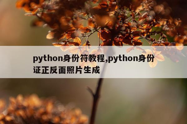 python身份符教程,python身份证正反面照片生成