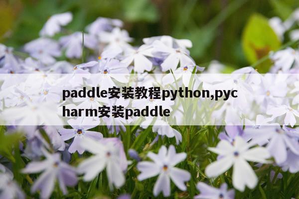 paddle安装教程python,pycharm安装paddle