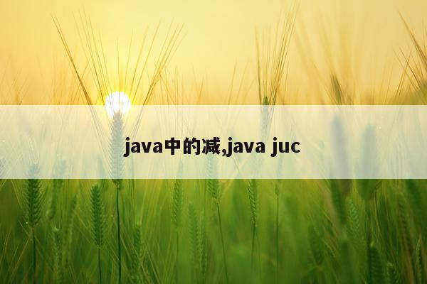 java中的减,java juc