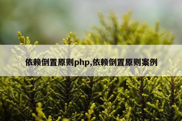 依赖倒置原则php,依赖倒置原则案例