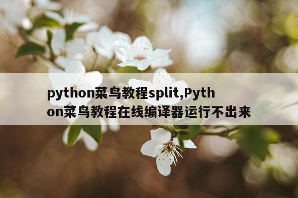 python菜鸟教程split,Python菜鸟教程在线编译器运行不出来