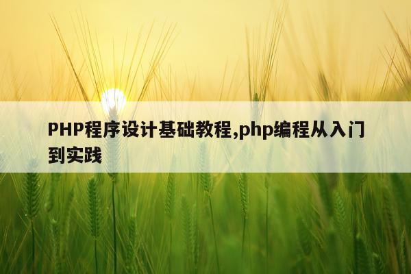 PHP程序设计基础教程,php编程从入门到实践