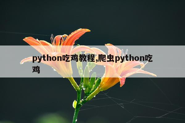 python吃鸡教程,爬虫python吃鸡