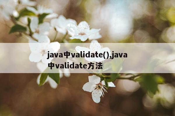 java中validate(),java中validate方法