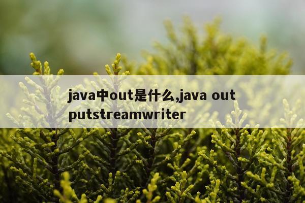 java中out是什么,java outputstreamwriter