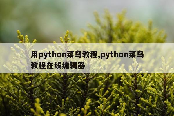 用python菜鸟教程,python菜鸟教程在线编辑器