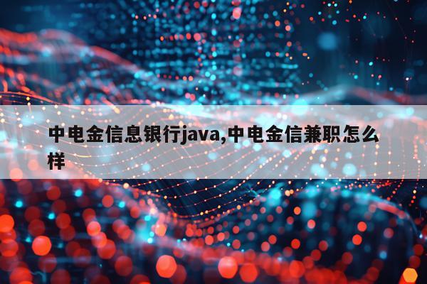 中电金信息银行java,中电金信兼职怎么样