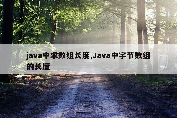 java中求数组长度,Java中字节数组的长度