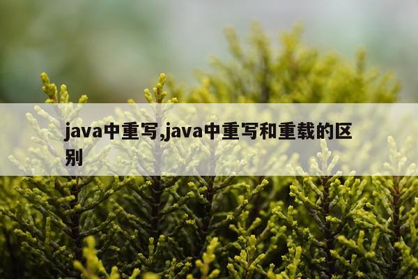 java中重写,java中重写和重载的区别