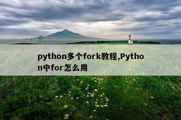 python多个fork教程,Python中for怎么用