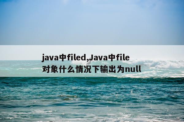 java中filed,Java中file对象什么情况下输出为null