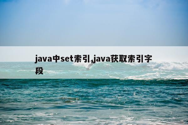 java中set索引,java获取索引字段