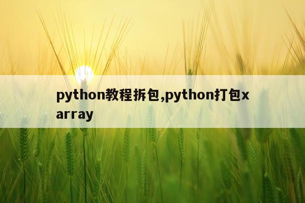 python教程拆包,python打包xarray