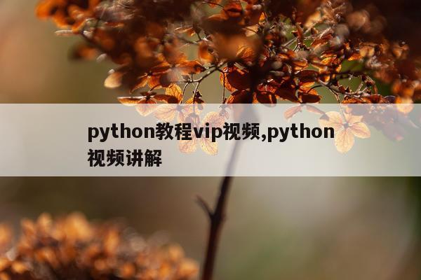 python教程vip视频,python视频讲解