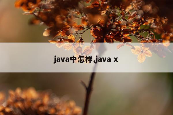 java中怎样,java x