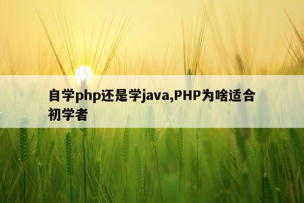 自学php还是学java,PHP为啥适合初学者