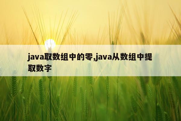 java取数组中的零,java从数组中提取数字