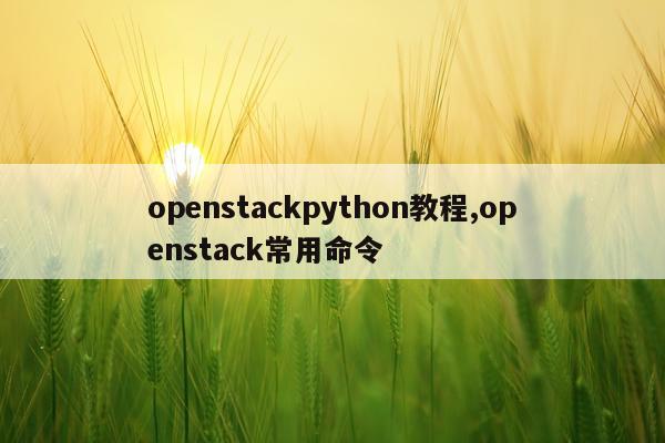 openstackpython教程,openstack常用命令