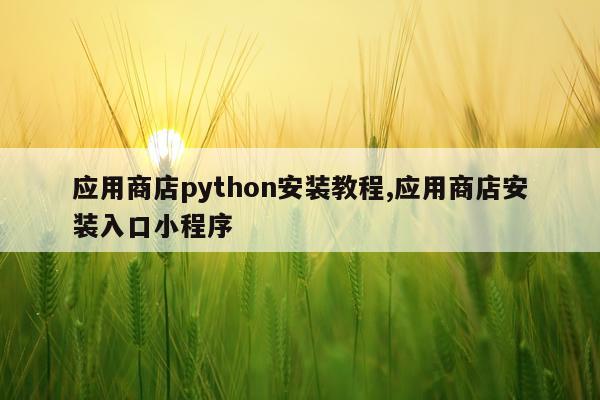 应用商店python安装教程,应用商店安装入口小程序