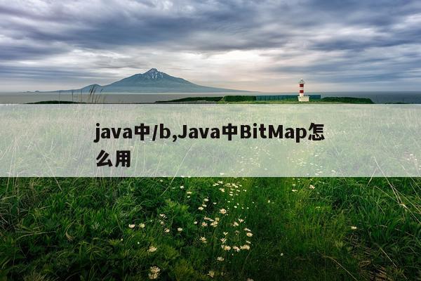 java中/b,Java中BitMap怎么用