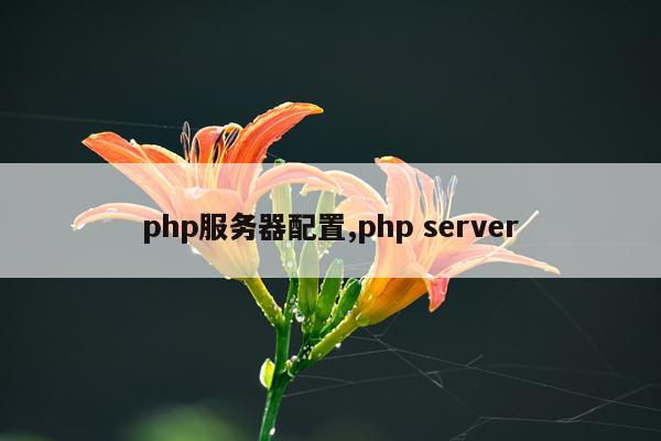 php服务器配置,php server