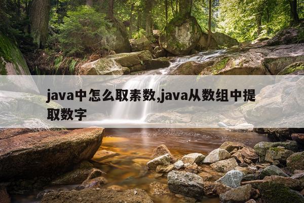 java中怎么取素数,java从数组中提取数字