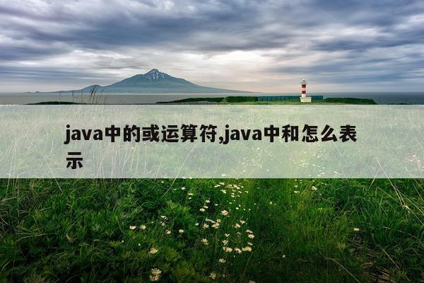 java中的或运算符,java中和怎么表示