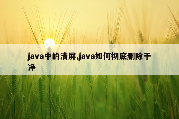 java中的清屏,java如何彻底删除干净