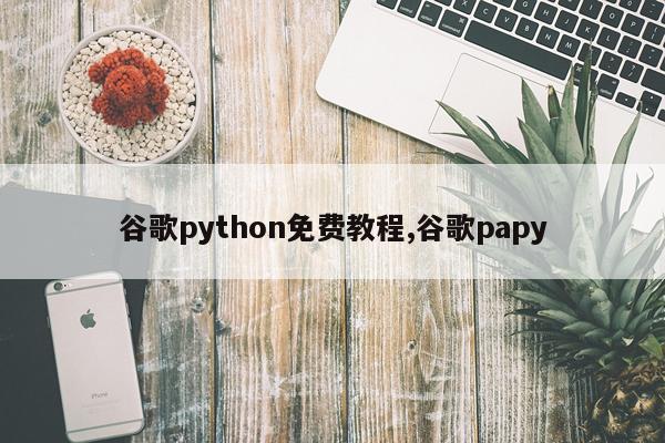 谷歌python免费教程,谷歌papy