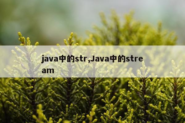 java中的str,Java中的stream