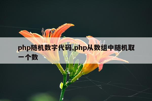 php随机数字代码,php从数组中随机取一个数