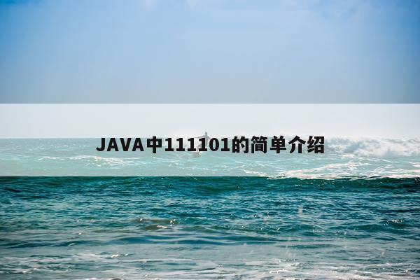 JAVA中111101的简单介绍
