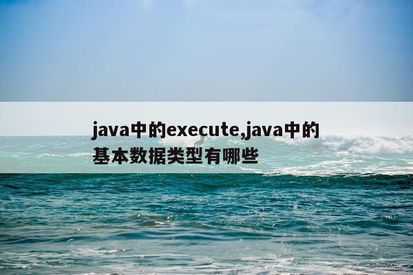 java中的execute,java中的基本数据类型有哪些