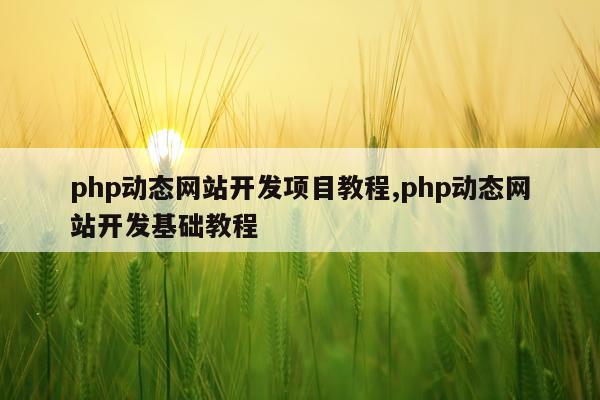 php动态网站开发项目教程,php动态网站开发基础教程
