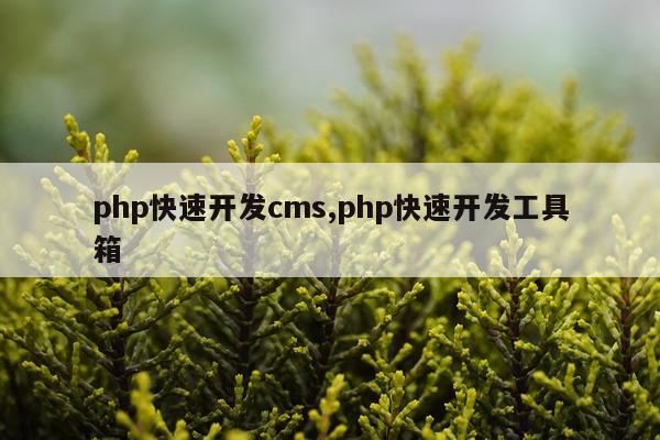 php快速开发cms,php快速开发工具箱