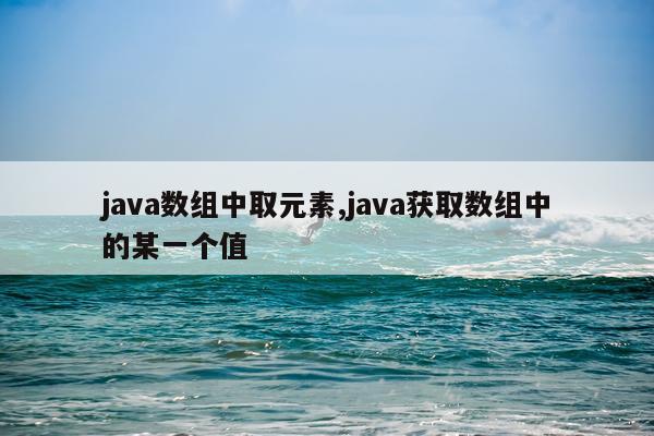 java数组中取元素,java获取数组中的某一个值