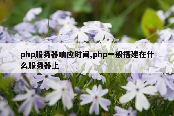 php服务器响应时间,php一般搭建在什么服务器上