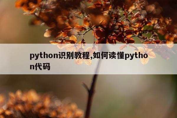 python识别教程,如何读懂python代码