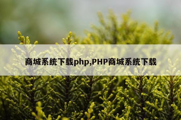 商城系统下载php,PHP商城系统下载
