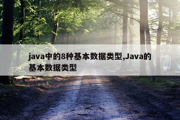 java中的8种基本数据类型,Java的基本数据类型