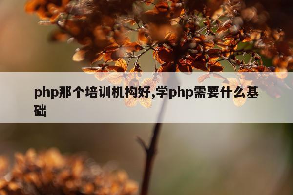 php那个培训机构好,学php需要什么基础