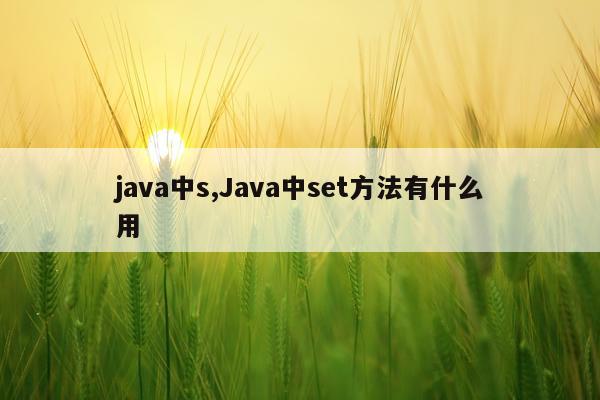 java中s,Java中set方法有什么用